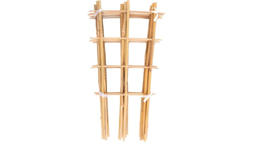 bamboo trellis plant support