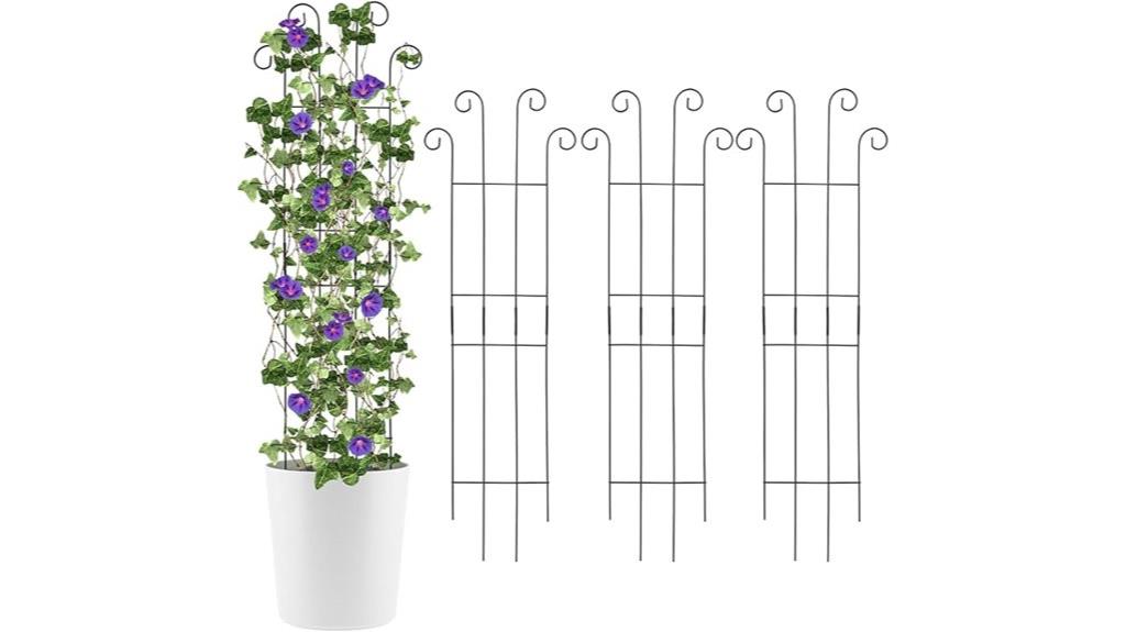 black metal trellis set