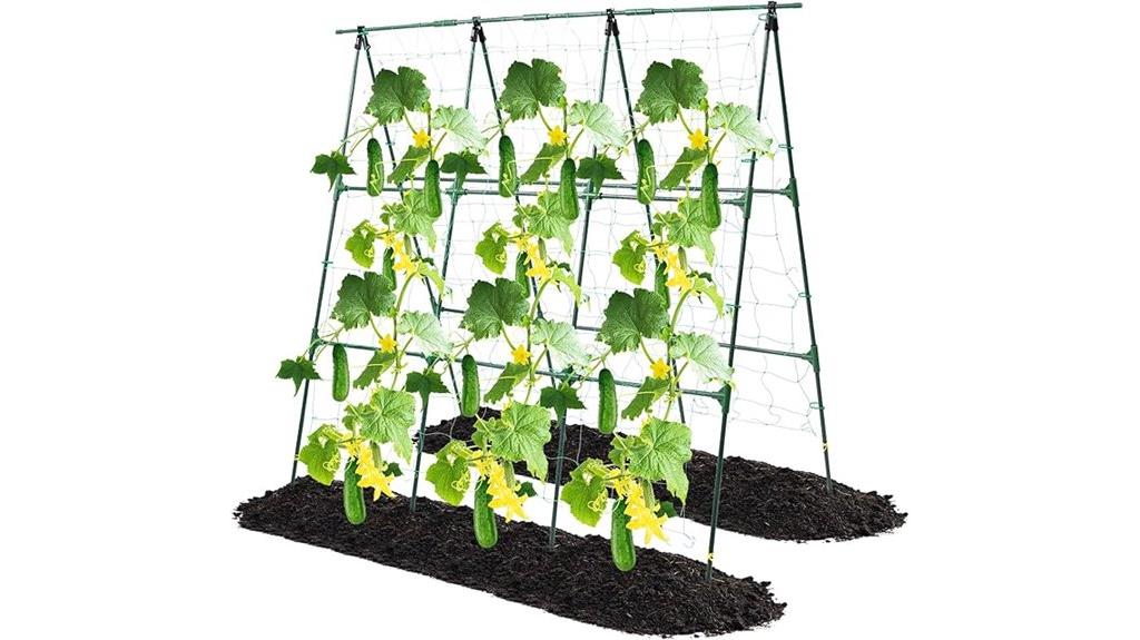 climbing cucumber plant support