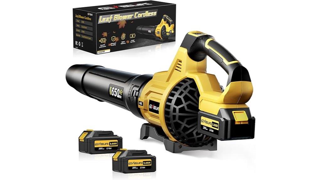 cordless blower two batteries