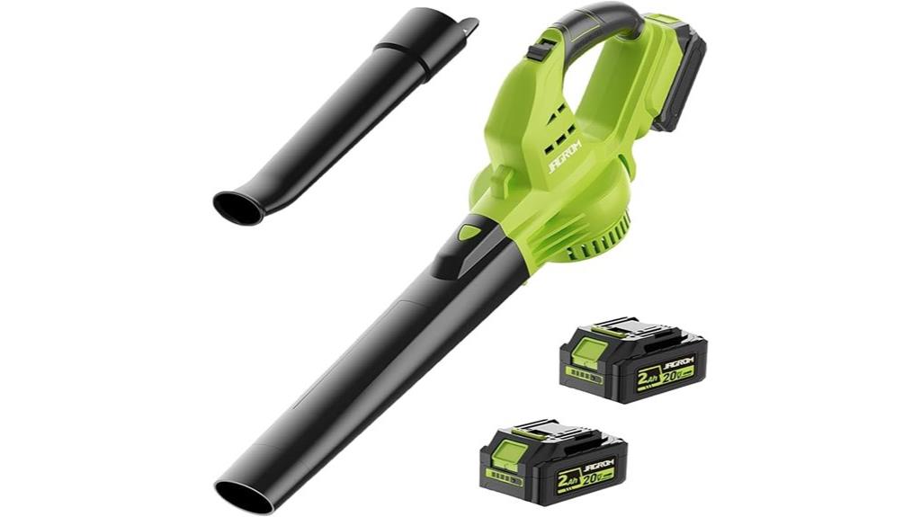 cordless blower with extras