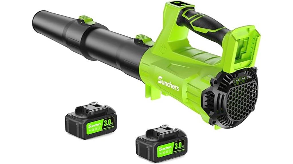 cordless leaf blower set
