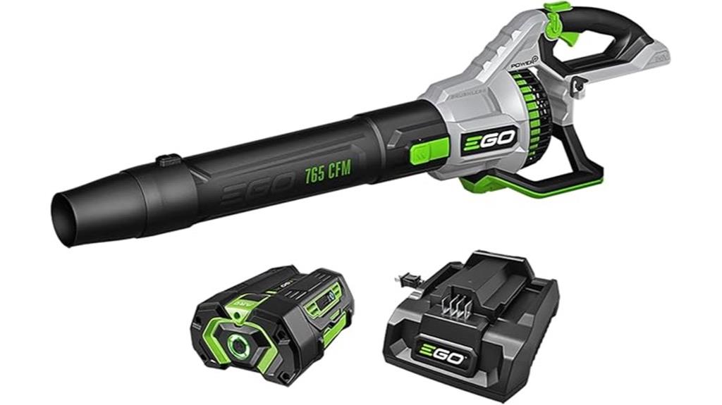 cordless leaf blower set