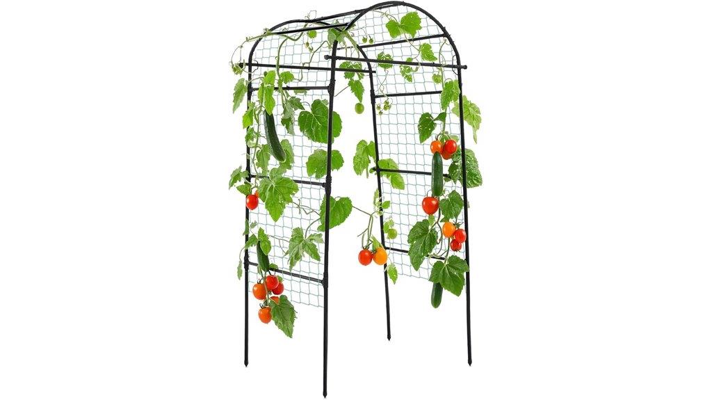 garden arch for climbing