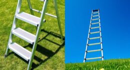 ladder types step or extension
