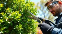 pruning techniques for plants