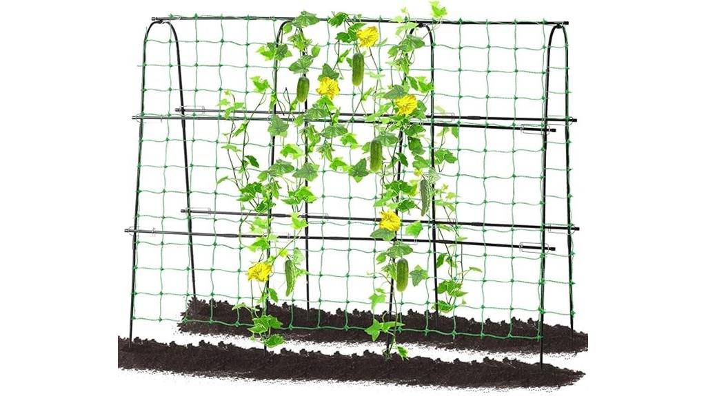 support for climbing cucumbers