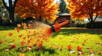 top cordless leaf blowers