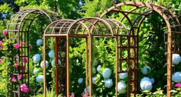 top garden trellis ideas