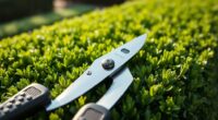 top hedge shears 2025