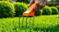 top lawn dethatcher reviews