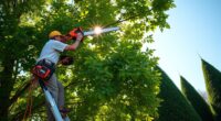 top pole saw recommendations