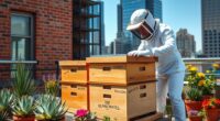 constructing a city beehive