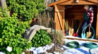 prepare garden tools winterize