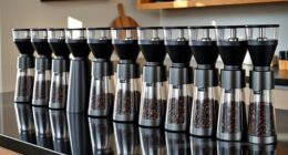 affordable premium coffee grinders