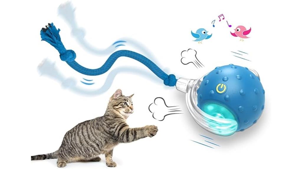 engaging indoor cat toy