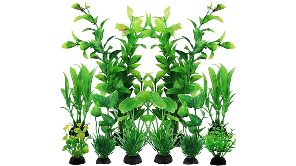 green plants for fish tank