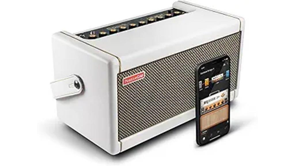 guitar amplifier with bag