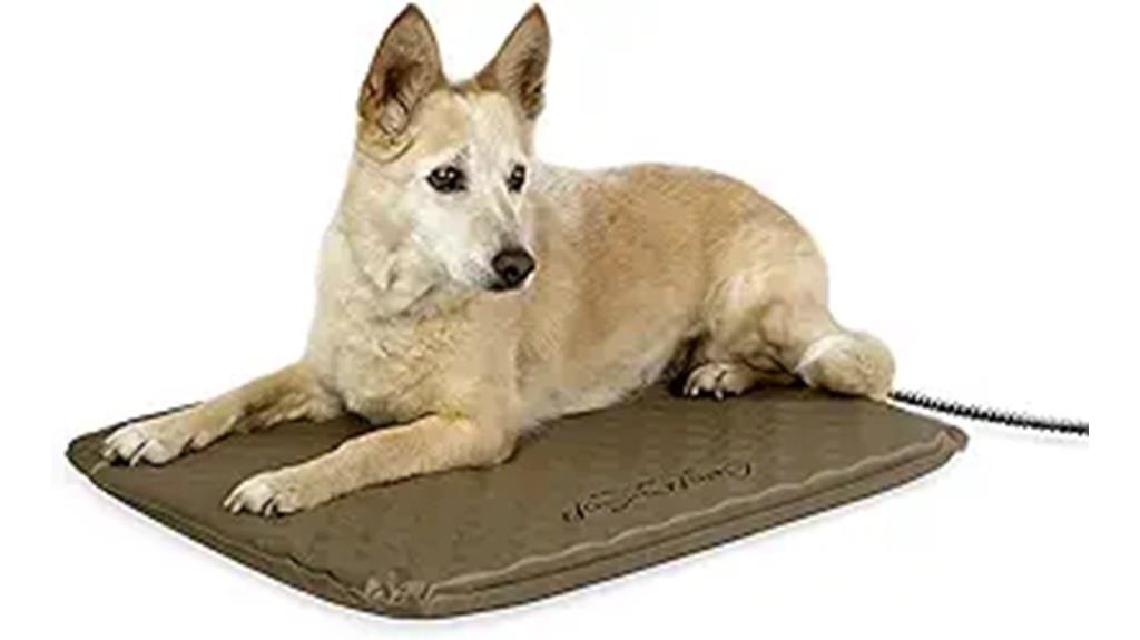 heated outdoor pet bed