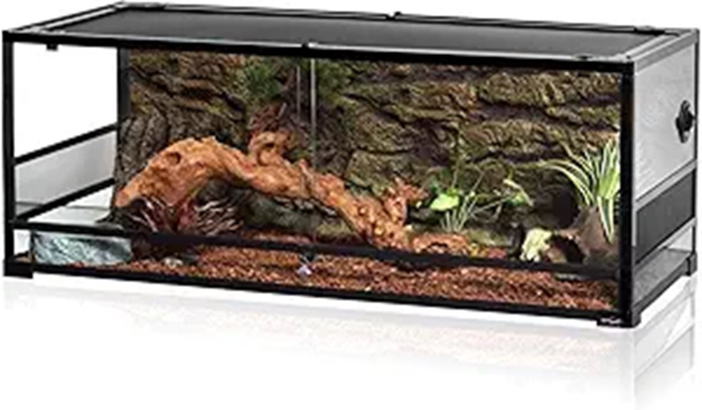 large glass reptile habitat