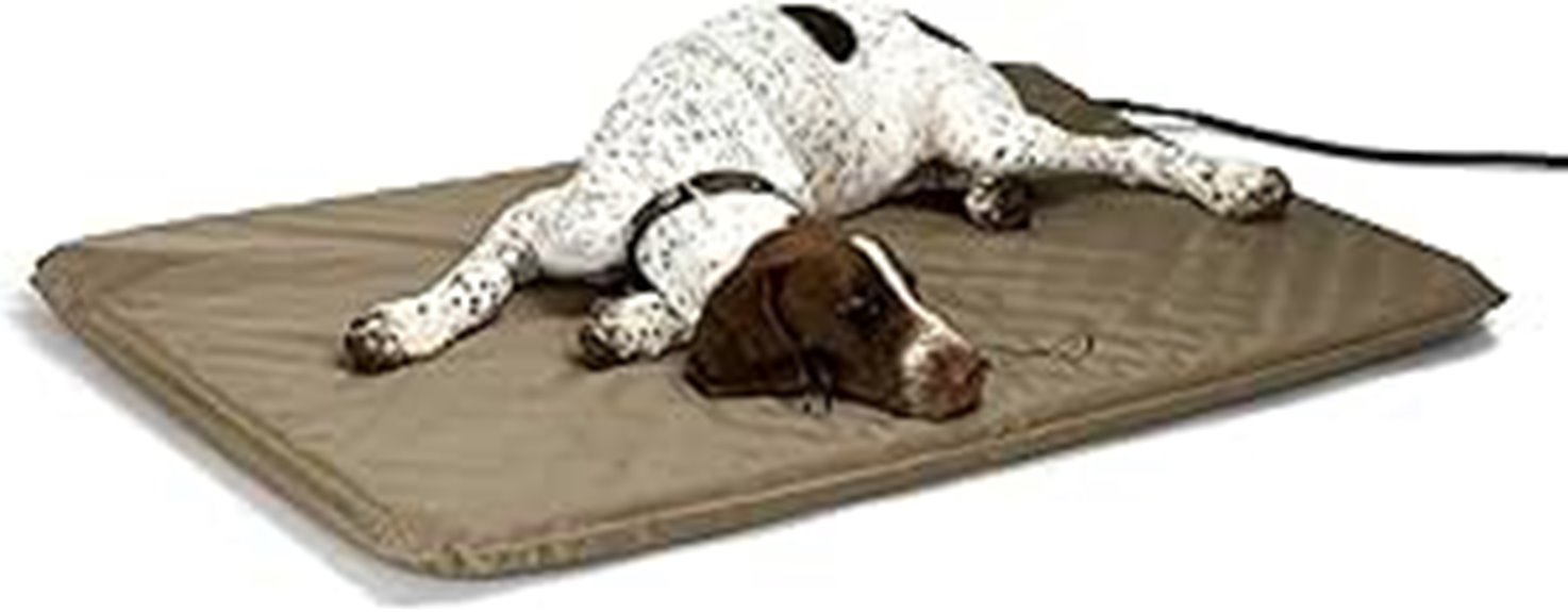 large heated pet bed