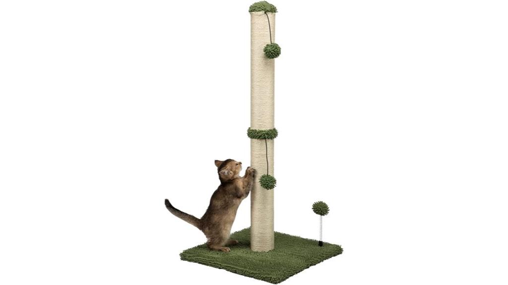 large mecool cat post