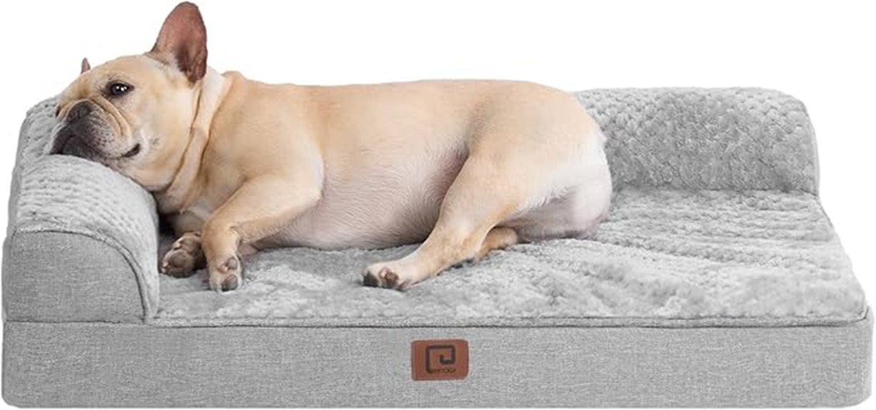 memory foam dog bed