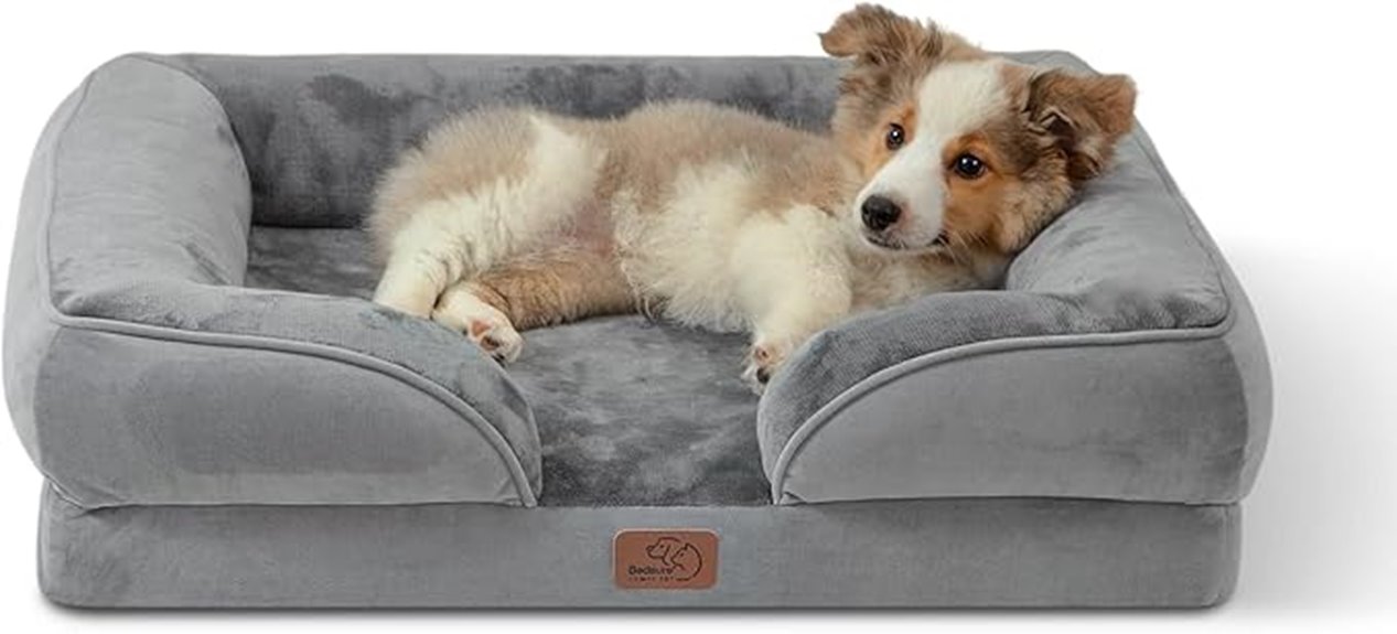 orthopedic bed for medium dogs