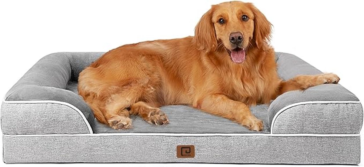 orthopedic large dog bed