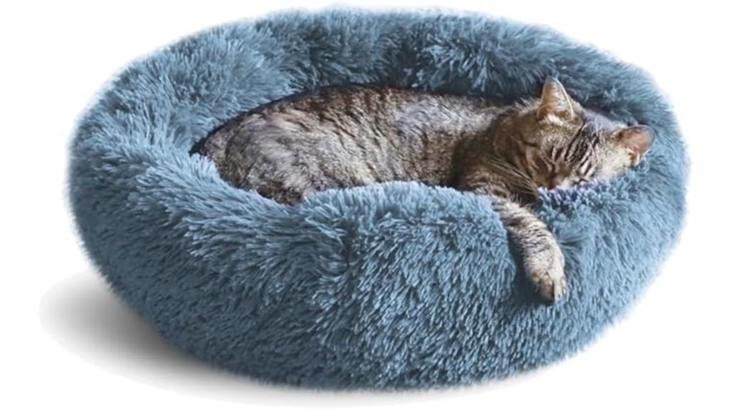 orthopedic washable cat bed