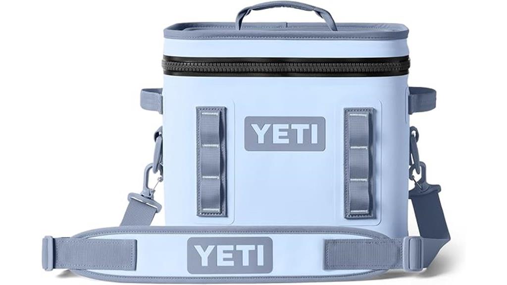 portable 12 quart cooler