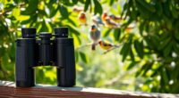 top bird watching binoculars