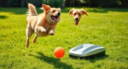top dog ball launchers