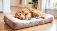 top orthopedic dog pillow options