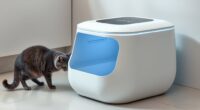 top smart litter box options