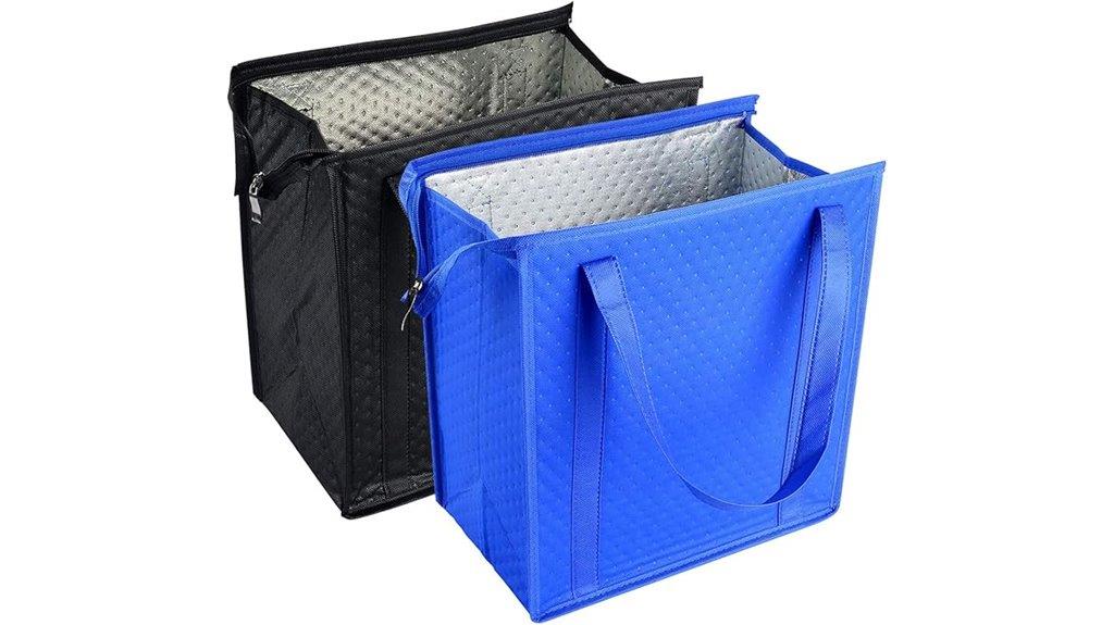 two piece cooler bag set
