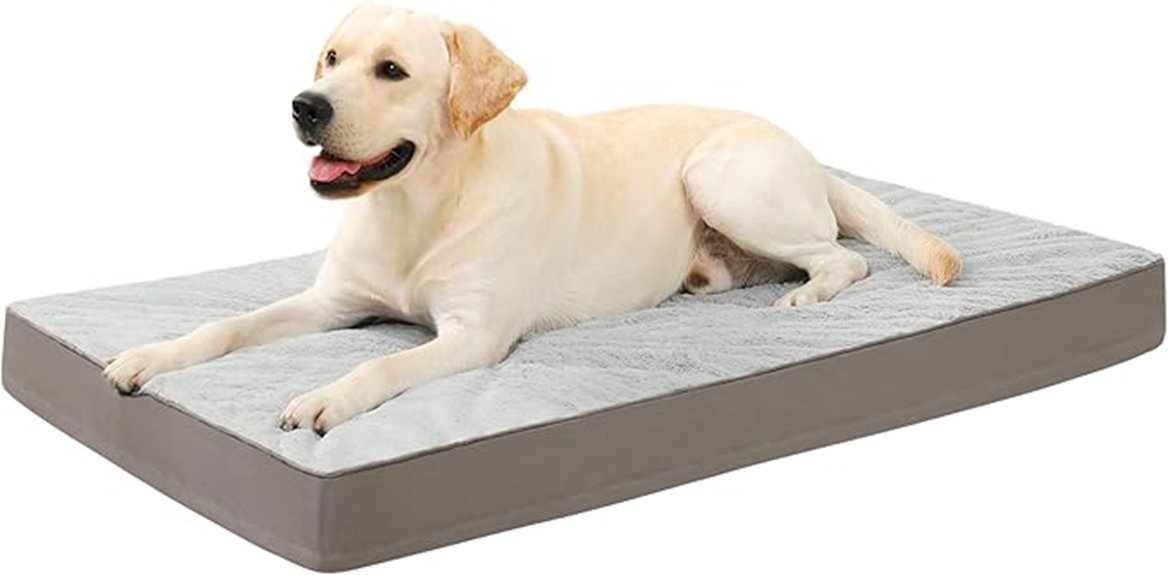 waterproof orthopedic dog bed