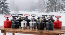 top portable propane heaters