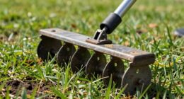 lawn dethatcher scarifier selection