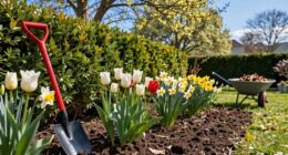 spring yard reset ease
