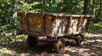 wooden cart s rolling challenge