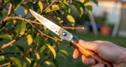 11 Best Pruning Knives in 2026