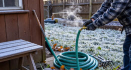 Don’t Get Caught Off Guard By The First Frost Again — Bookmark This Checklist For Next Year